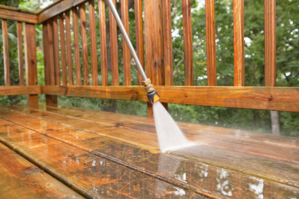 Best Fence Pressure Washing  in Demopolis, AL